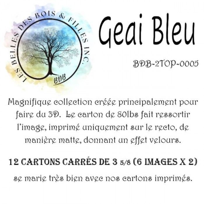 2Top - Geai bleu