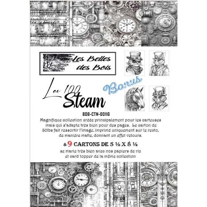 Collection Les 100 Steam