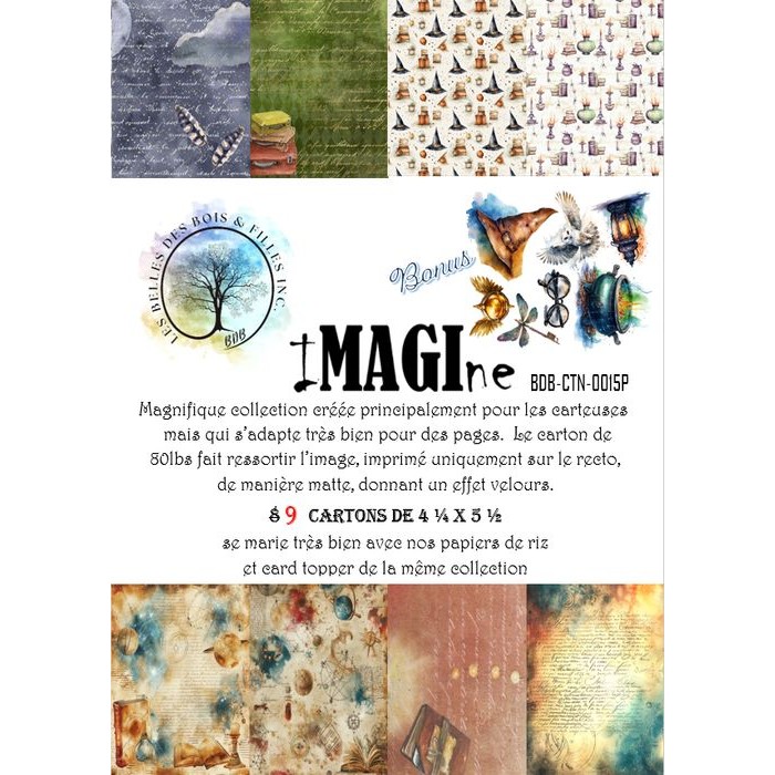 Collection iMAGInep