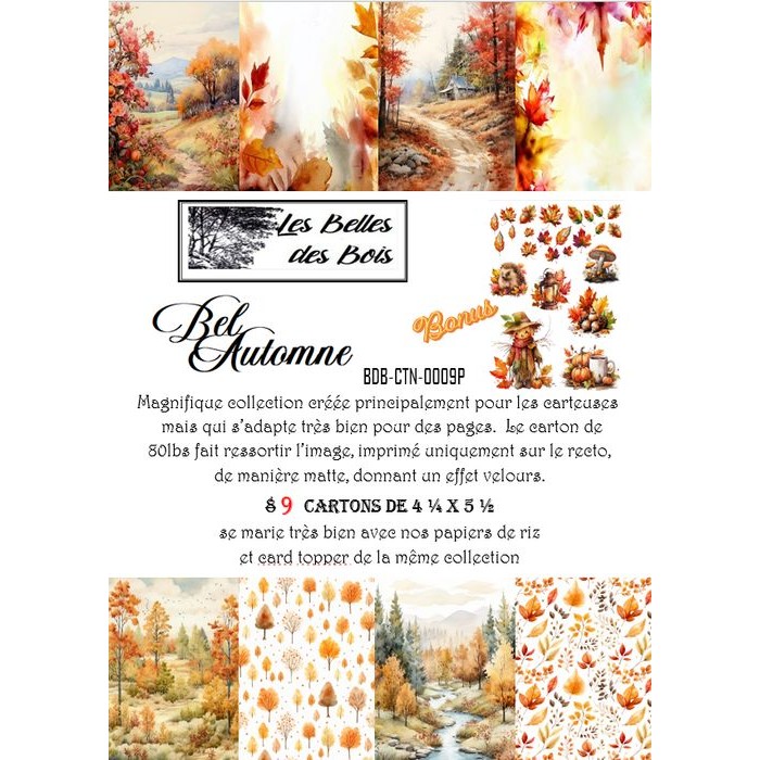 Collection BelAutomne - kit