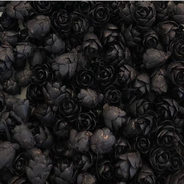Roses des bois - Noir