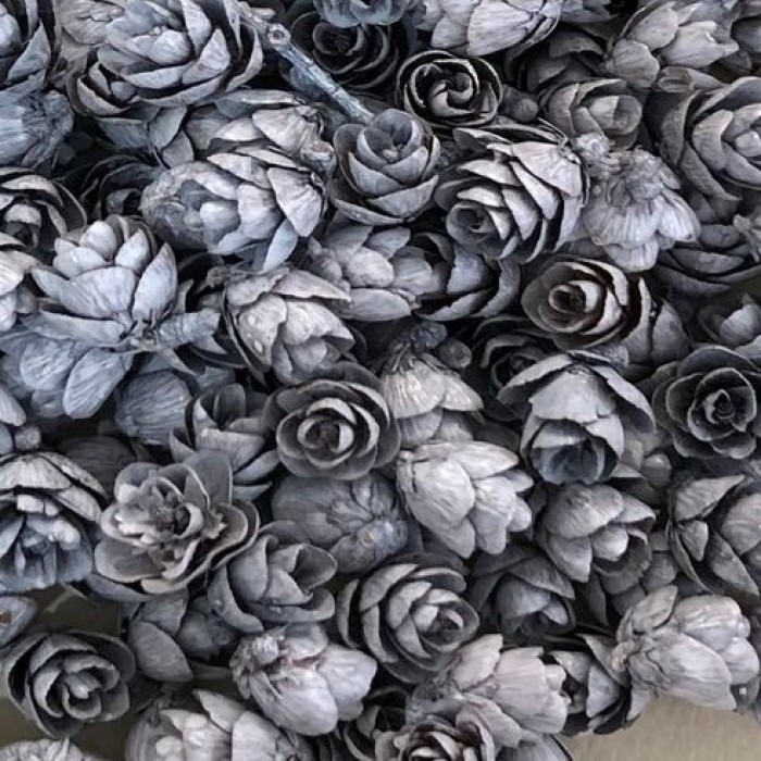 Roses des bois - Blanc