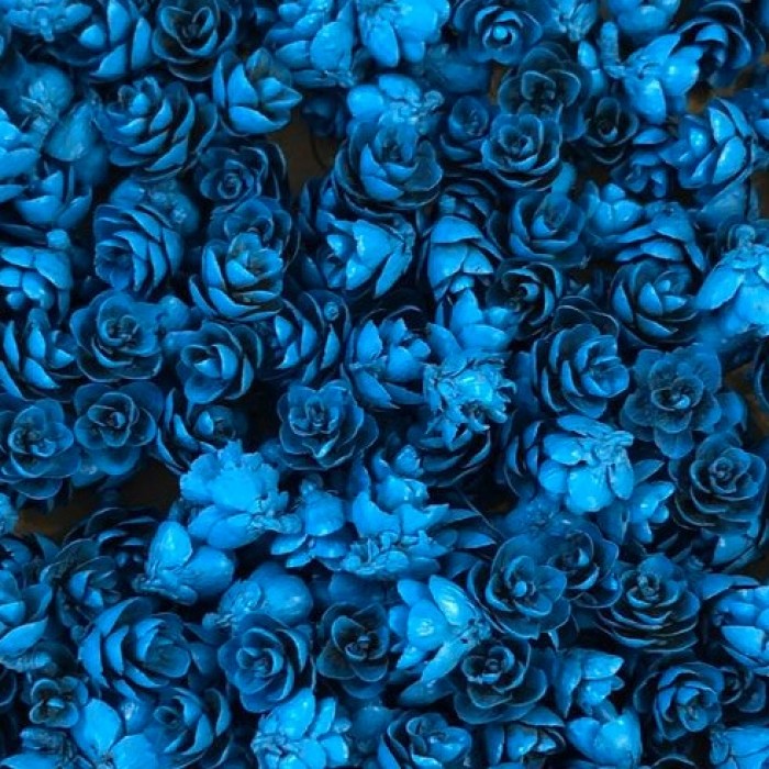 Roses des bois - Bleu