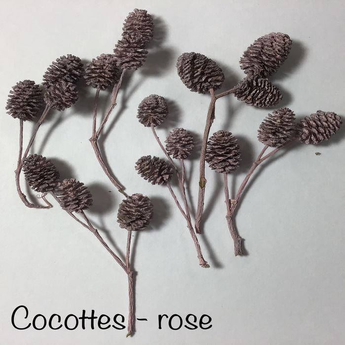 Cocottes branches - Rose