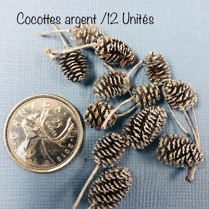 Cocottes unité - Argent
