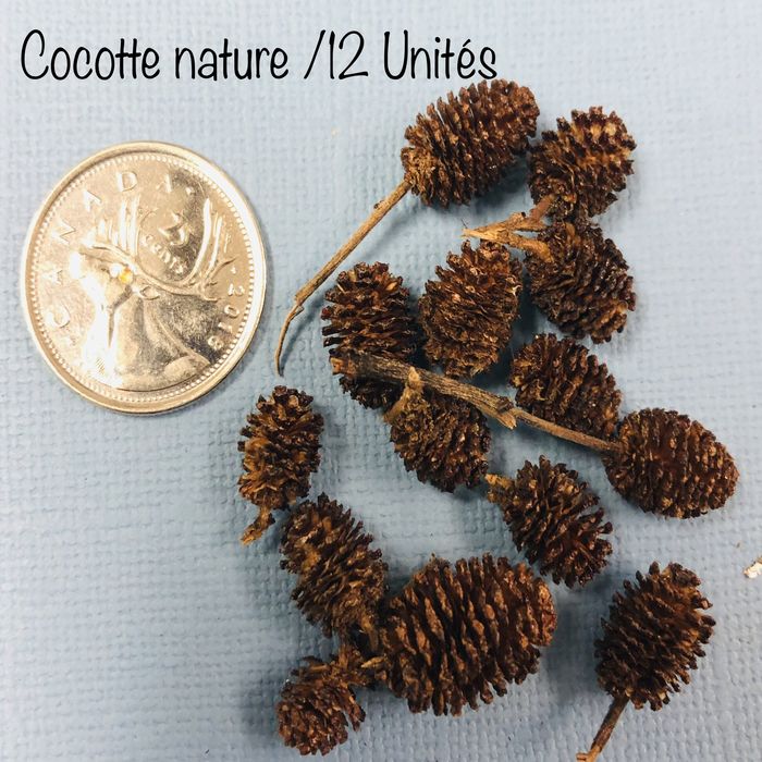 Cocottes unité - Naturel