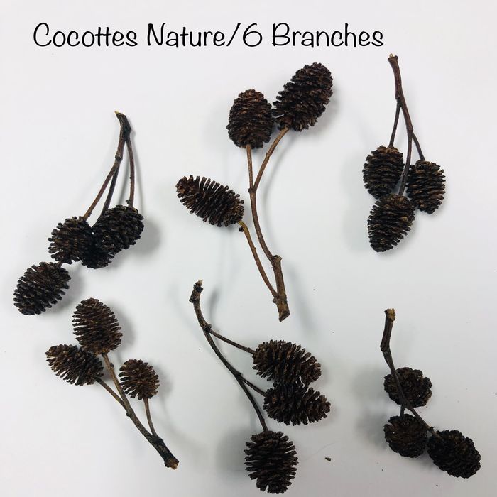 Cocottes branches - Naturel